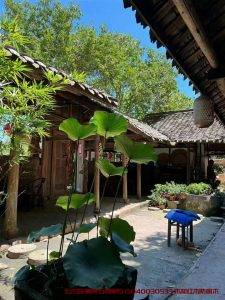 石木园 我最理想的栖息地